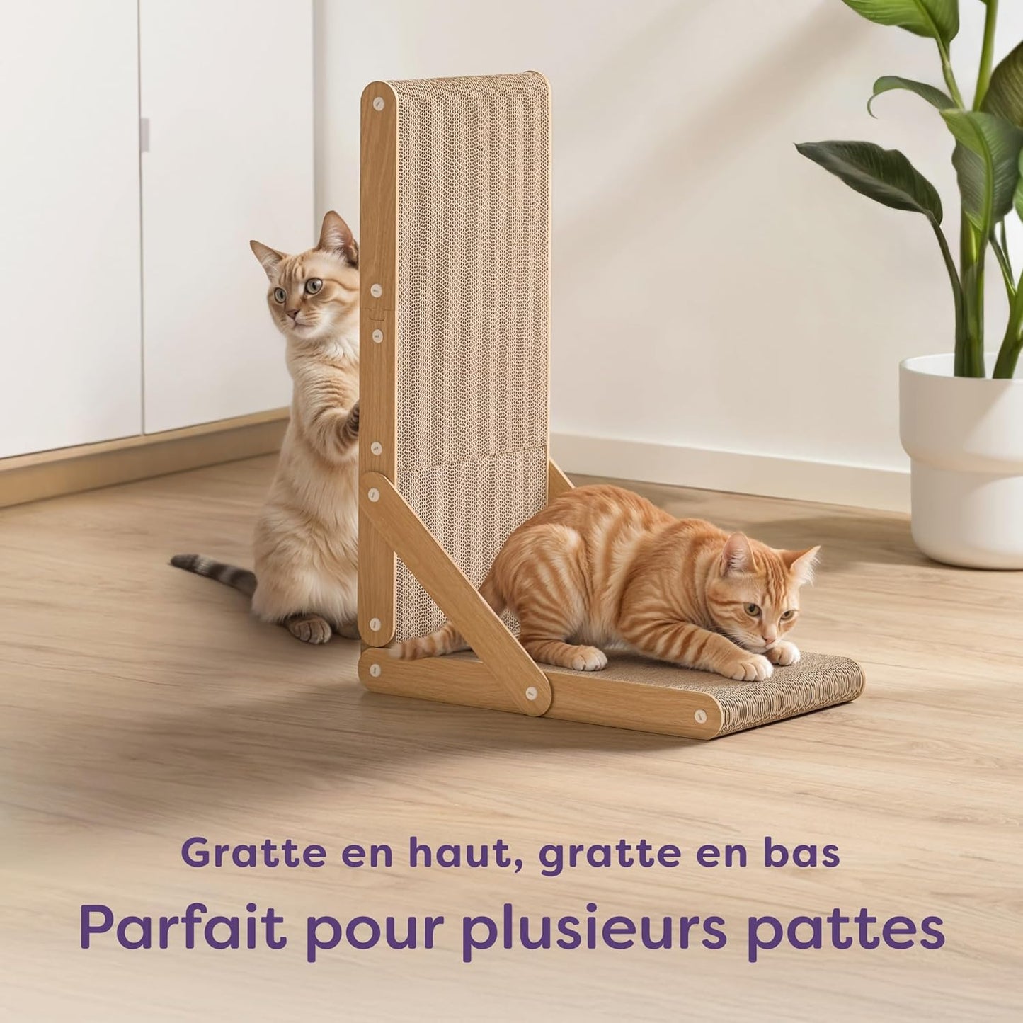 FURRY COCOON Planches de jeu à gratter verticale pour chat.